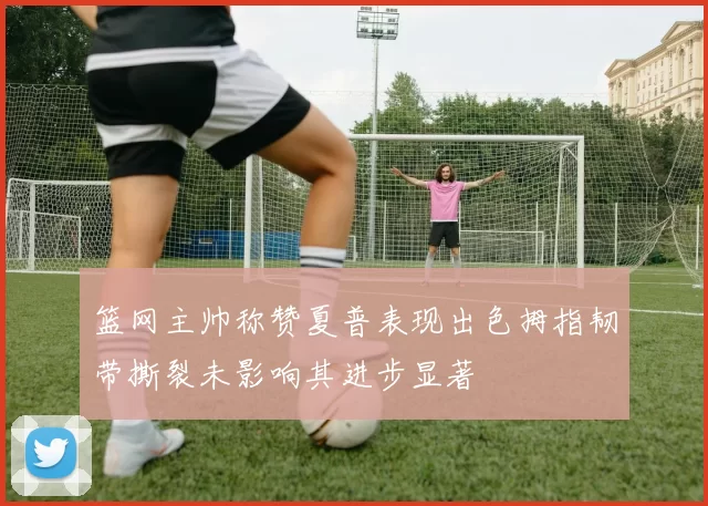 篮网主帅称赞夏普表现出色拇指韧带撕裂未影响其进步显著