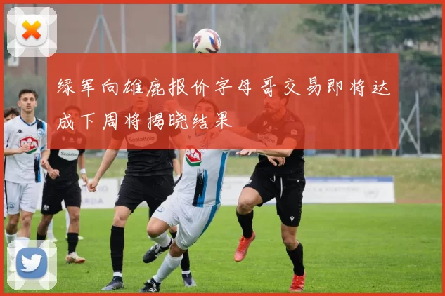 绿军向雄鹿报价字母哥交易即将达成下周将揭晓结果